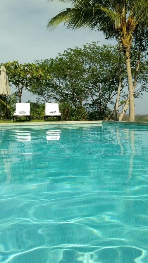 El Nido Rojo Bed & Breakfast Samara Exterior photo